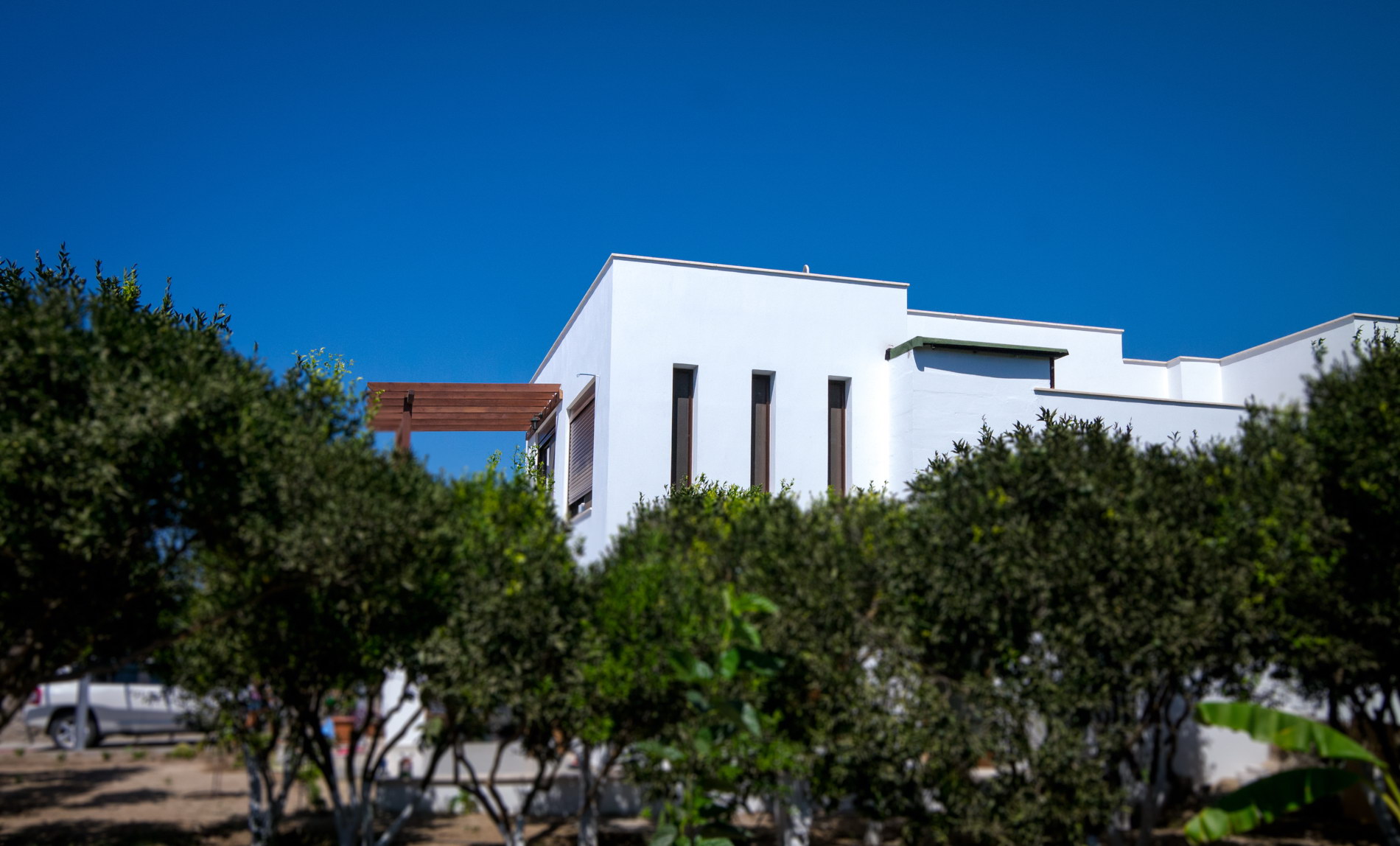Mandalin House - 2015